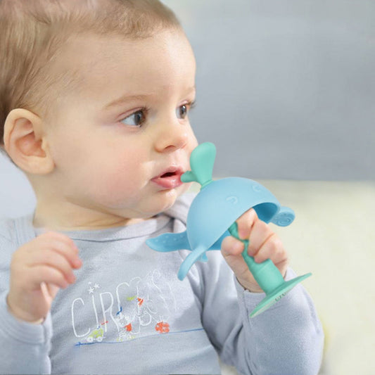 Baby Teething Toys for Newborns & Infants | Safe BPA-Free Silicone Gum Soothers – Perfect Baby Shower Gift 1